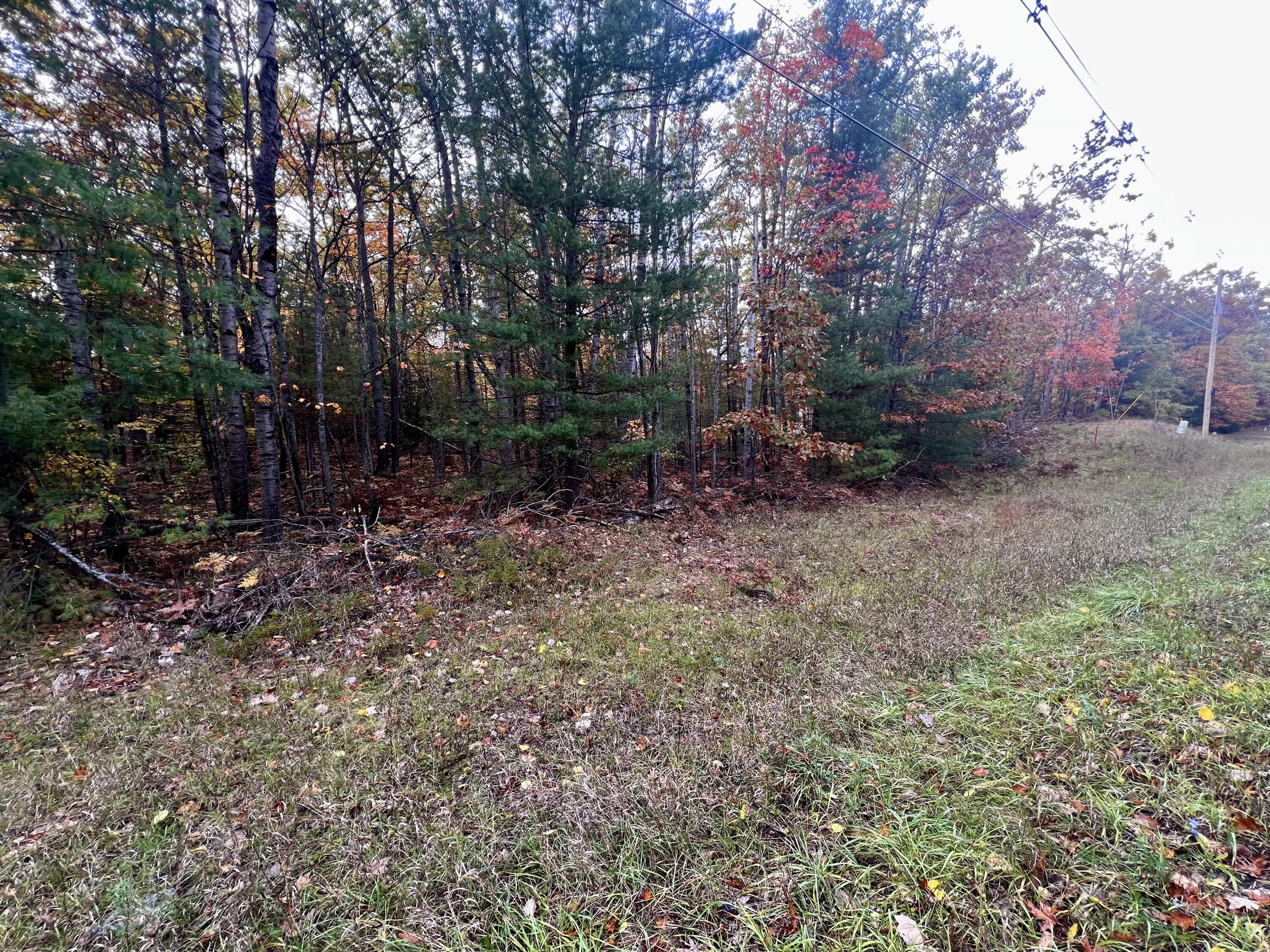 2534 E Mullett Lake Road