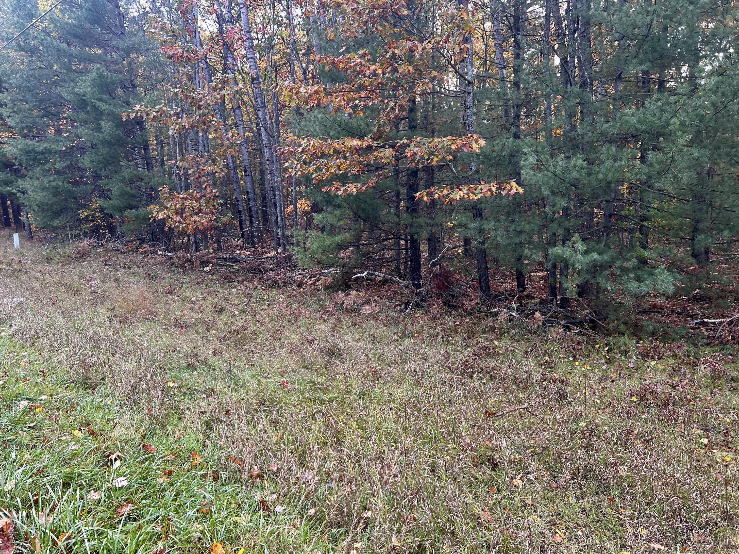 2534 E Mullett Lake Road