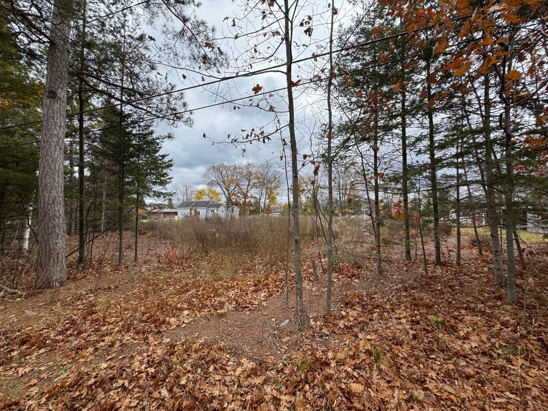 Lots 2 & 3 W Etherington Street, 42-03-12-476-149