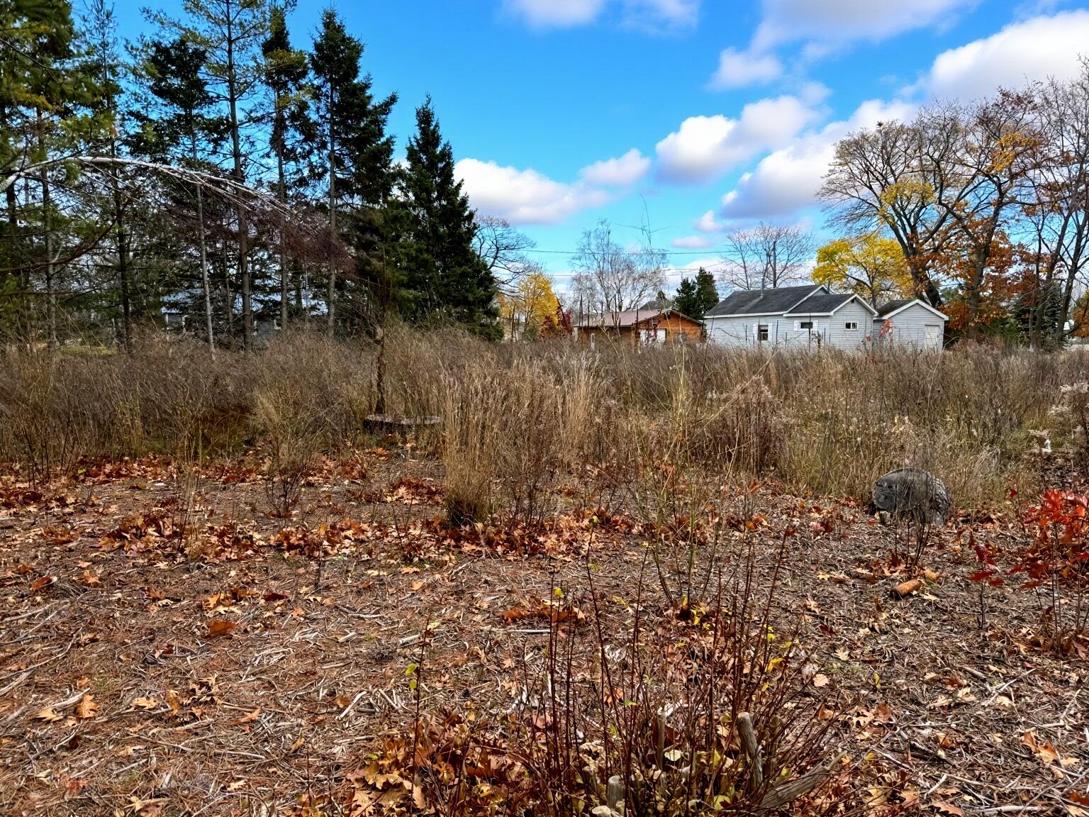 Lots 2 & 3 W Etherington Street, 42-03-12-476-149