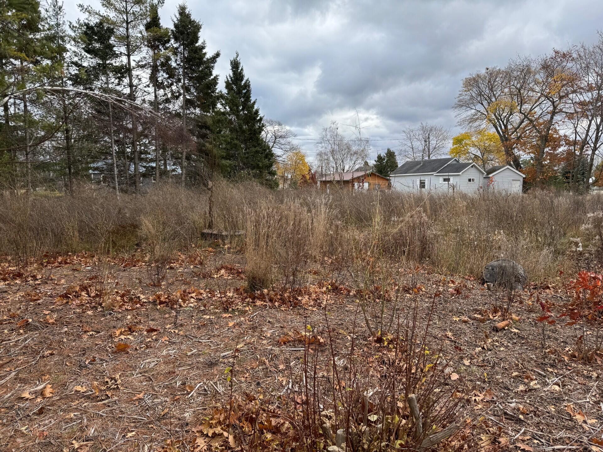 Lots 2 & 3 W Etherington Street, 42-03-12-476-149