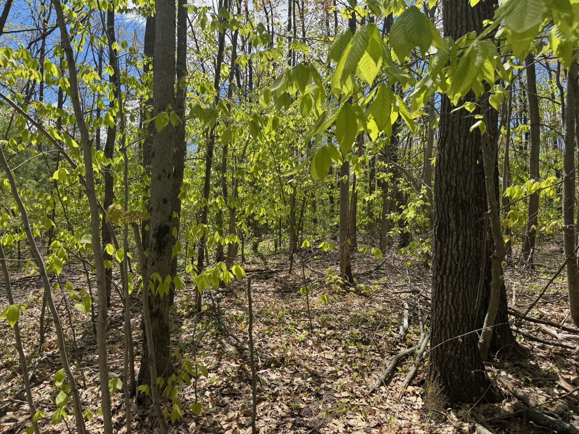 V/L Par B Eastridge Drive, Parcel B