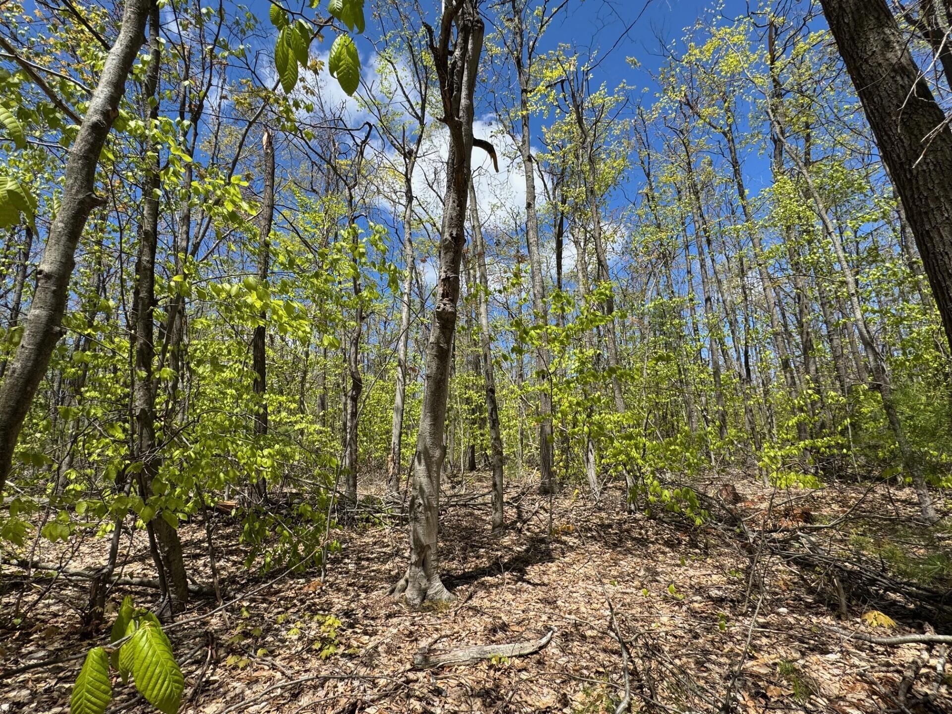 V/L Par B Eastridge Drive, Parcel B