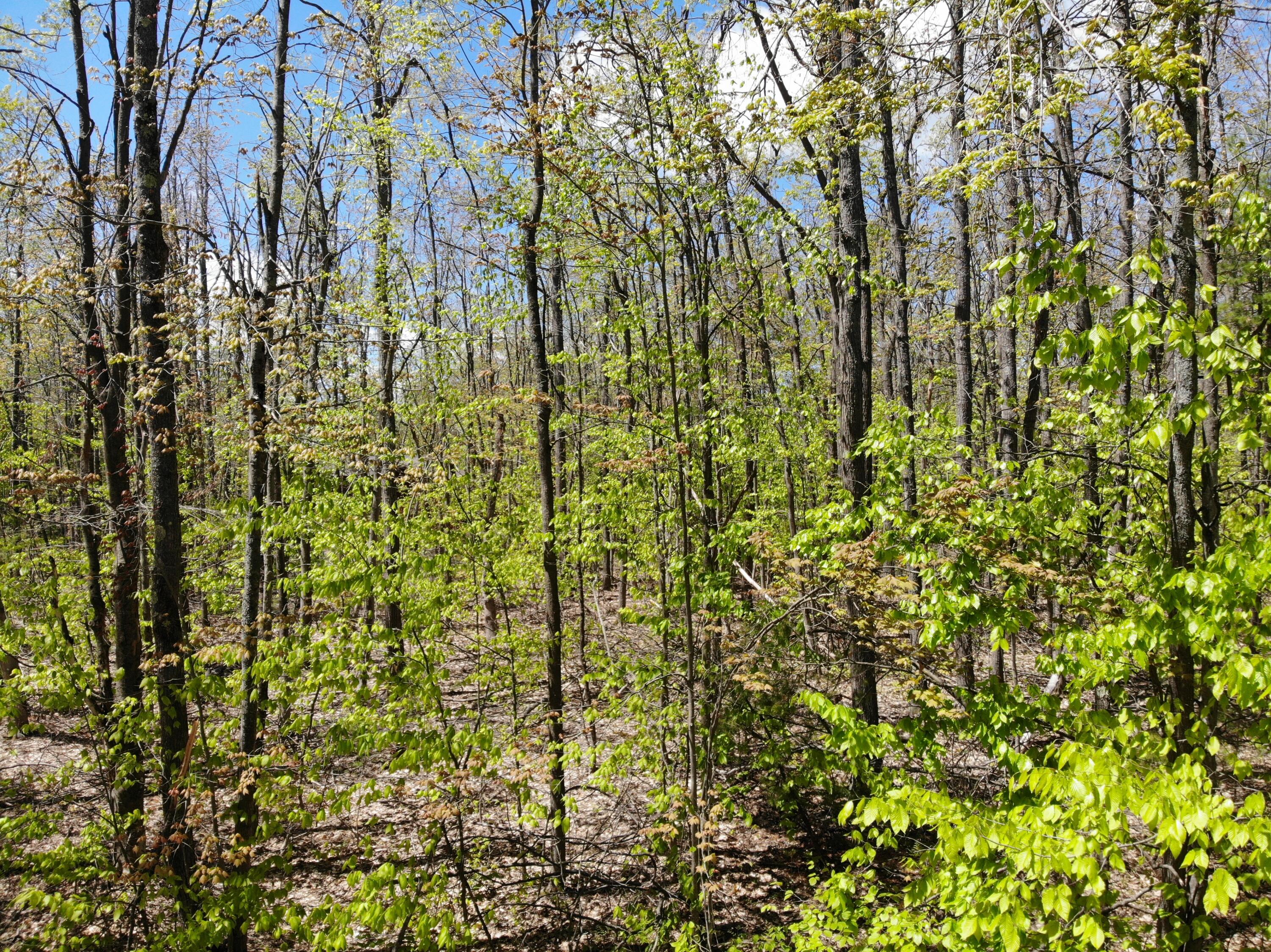 V/L Par B Eastridge Drive, Parcel B