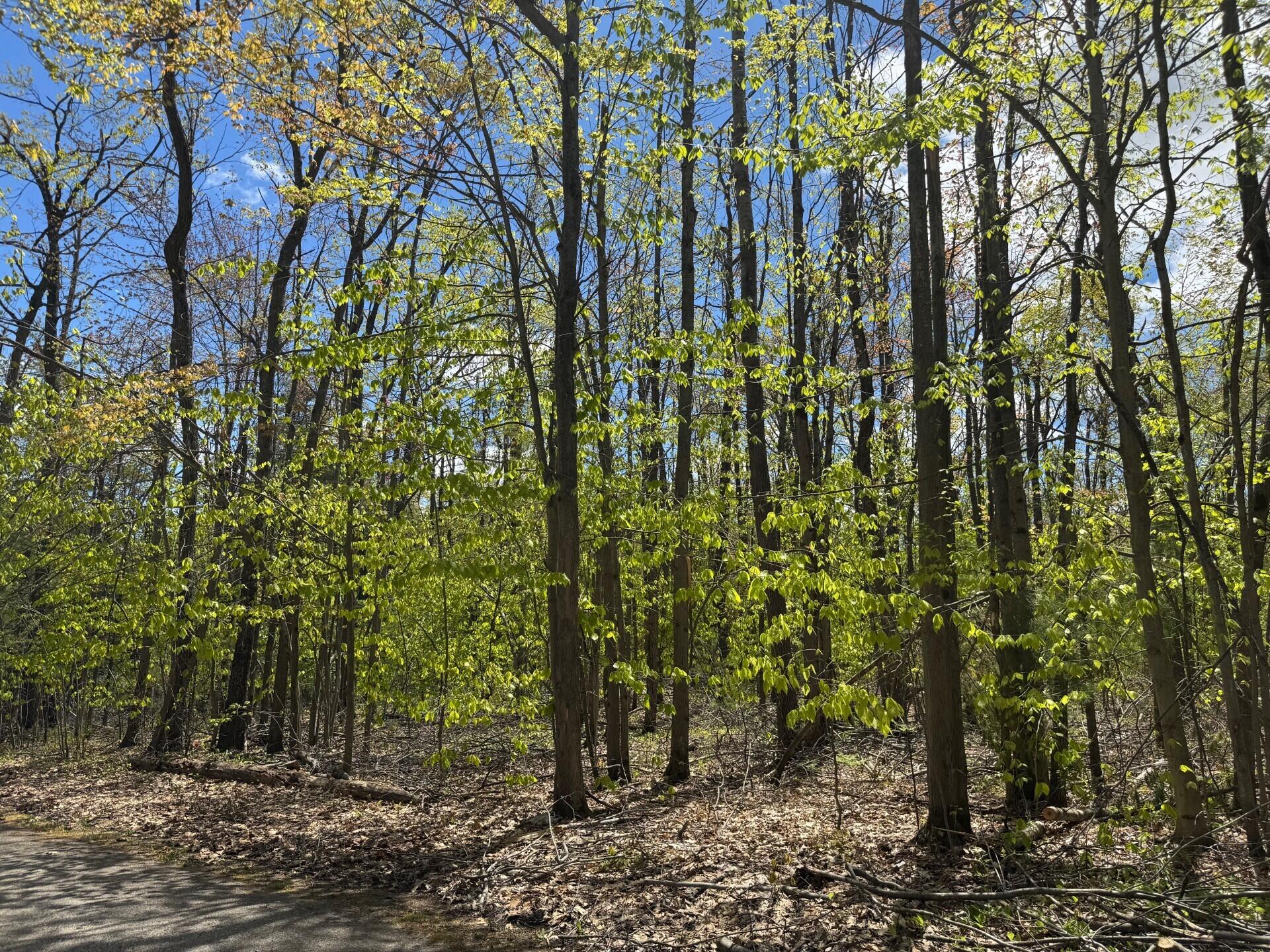 V/L Par B Eastridge Drive, Parcel B