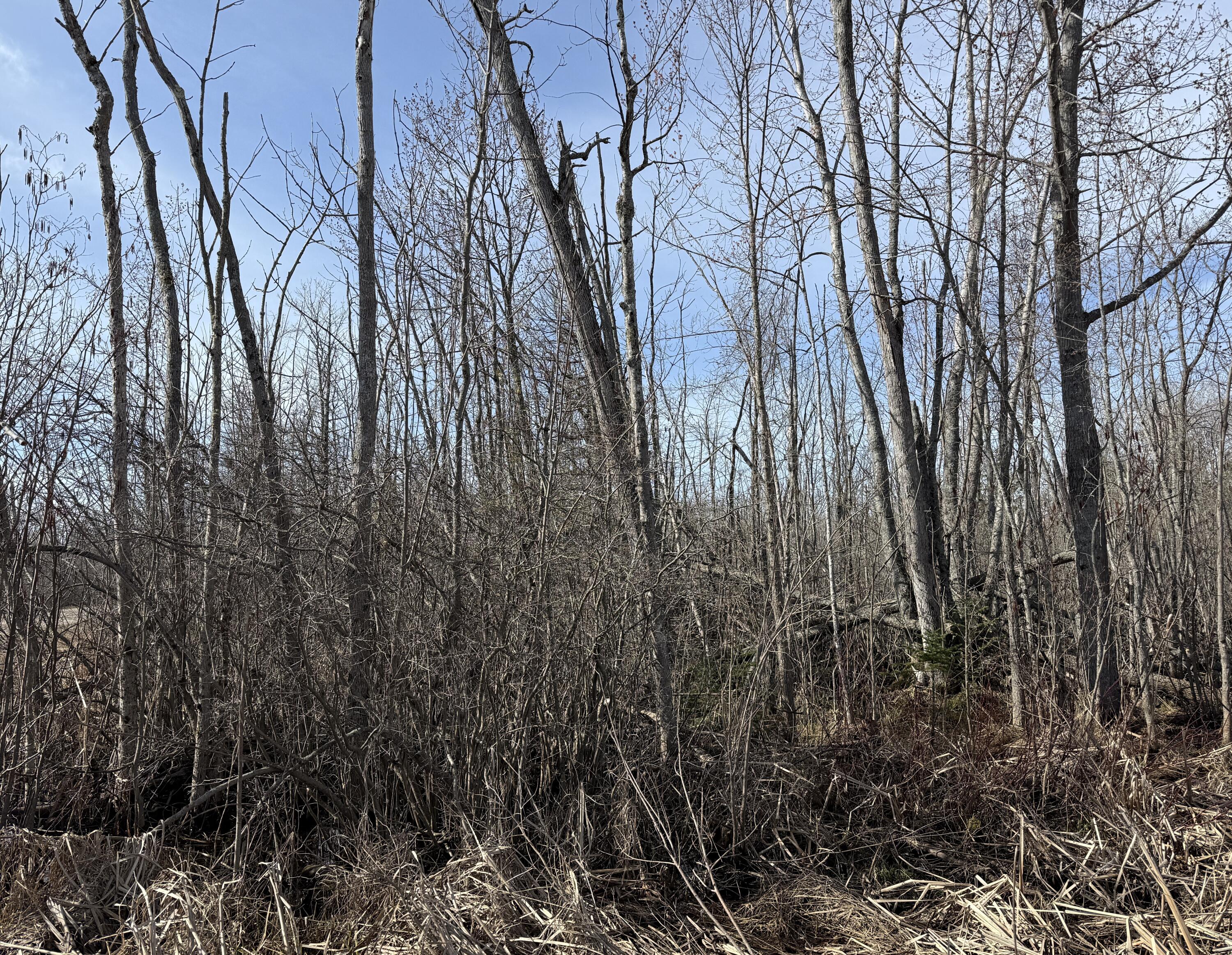 .37 acres Dekruif Road, Section 24