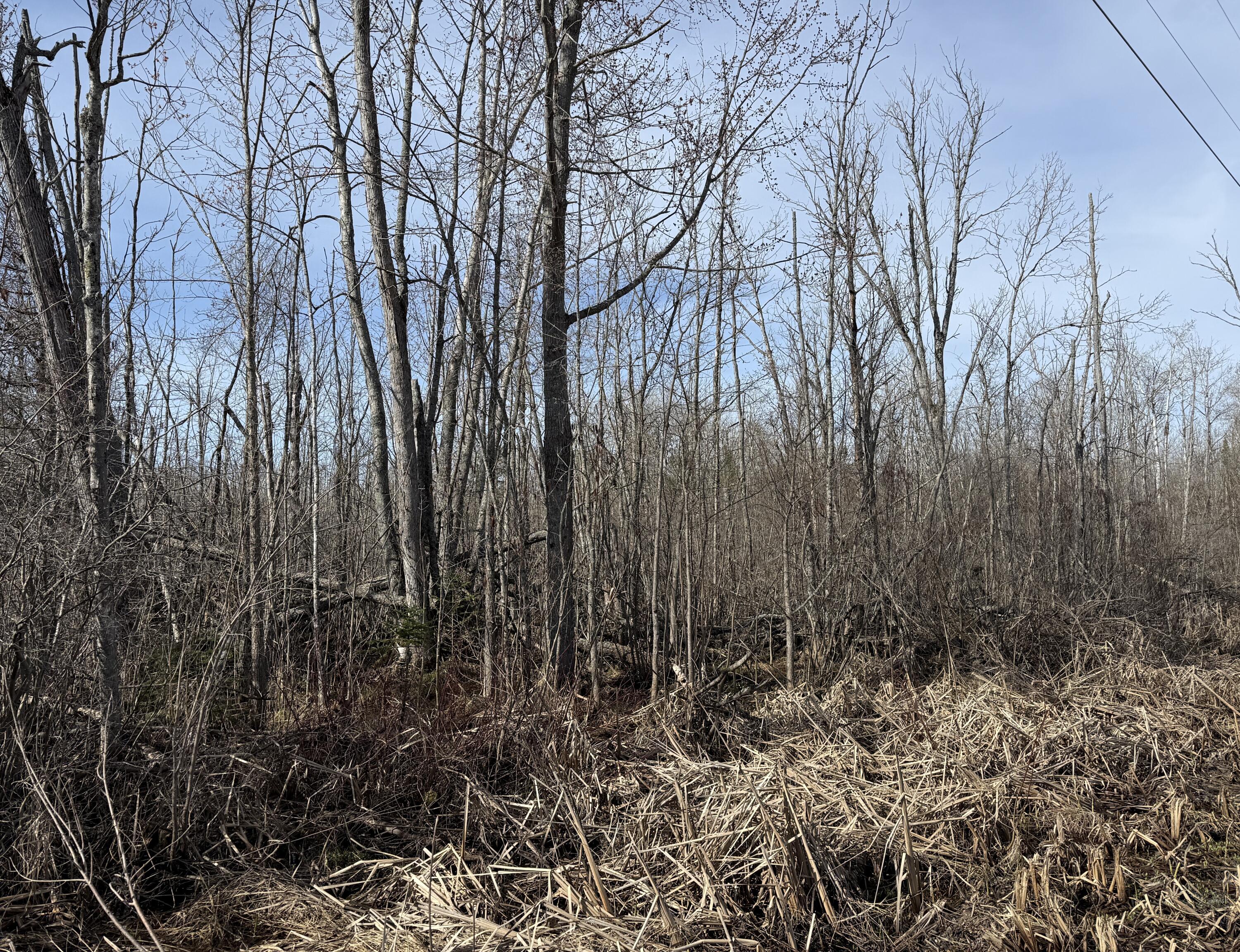 .37 acres Dekruif Road, Section 24