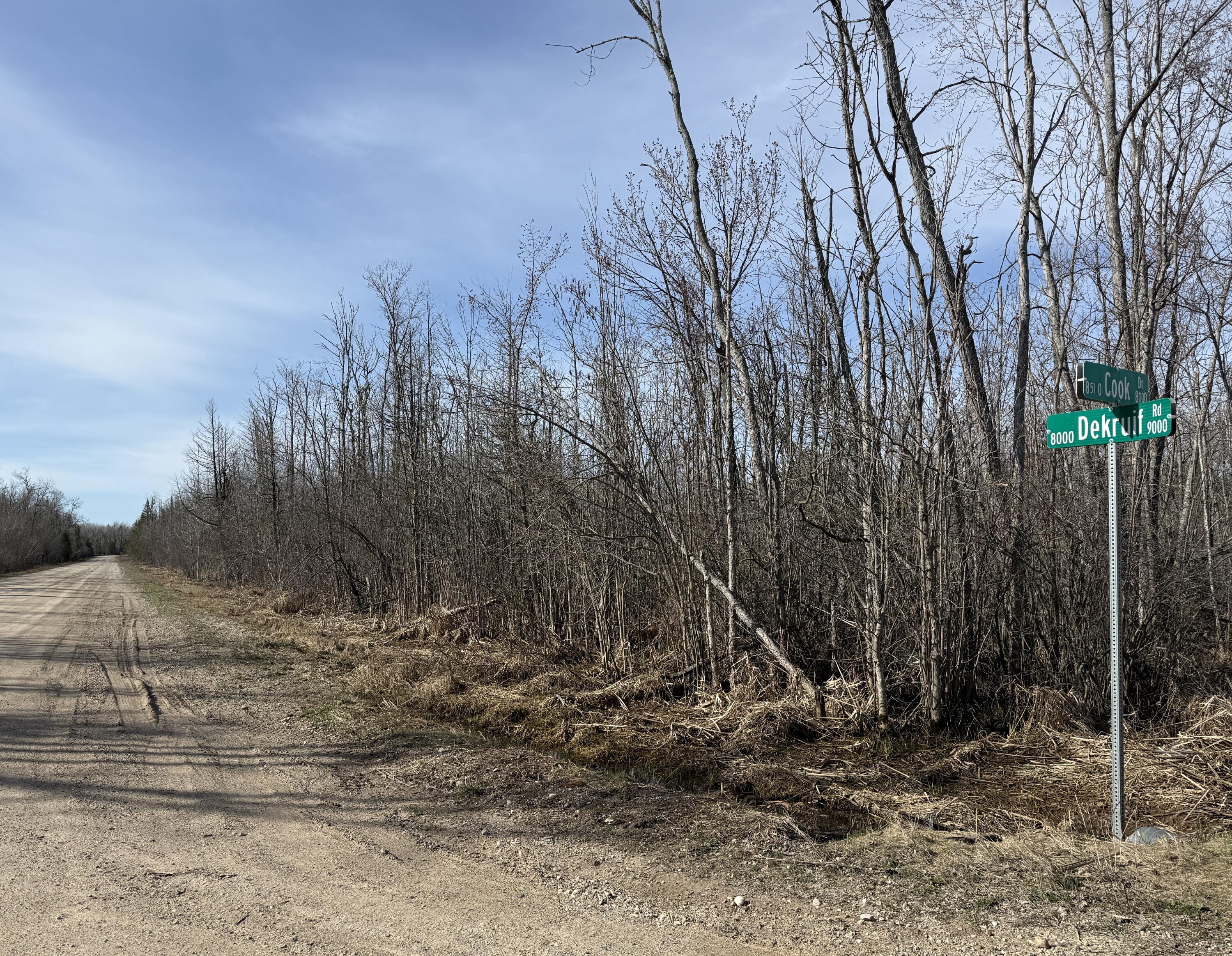 .37 acres Dekruif Road, Section 24