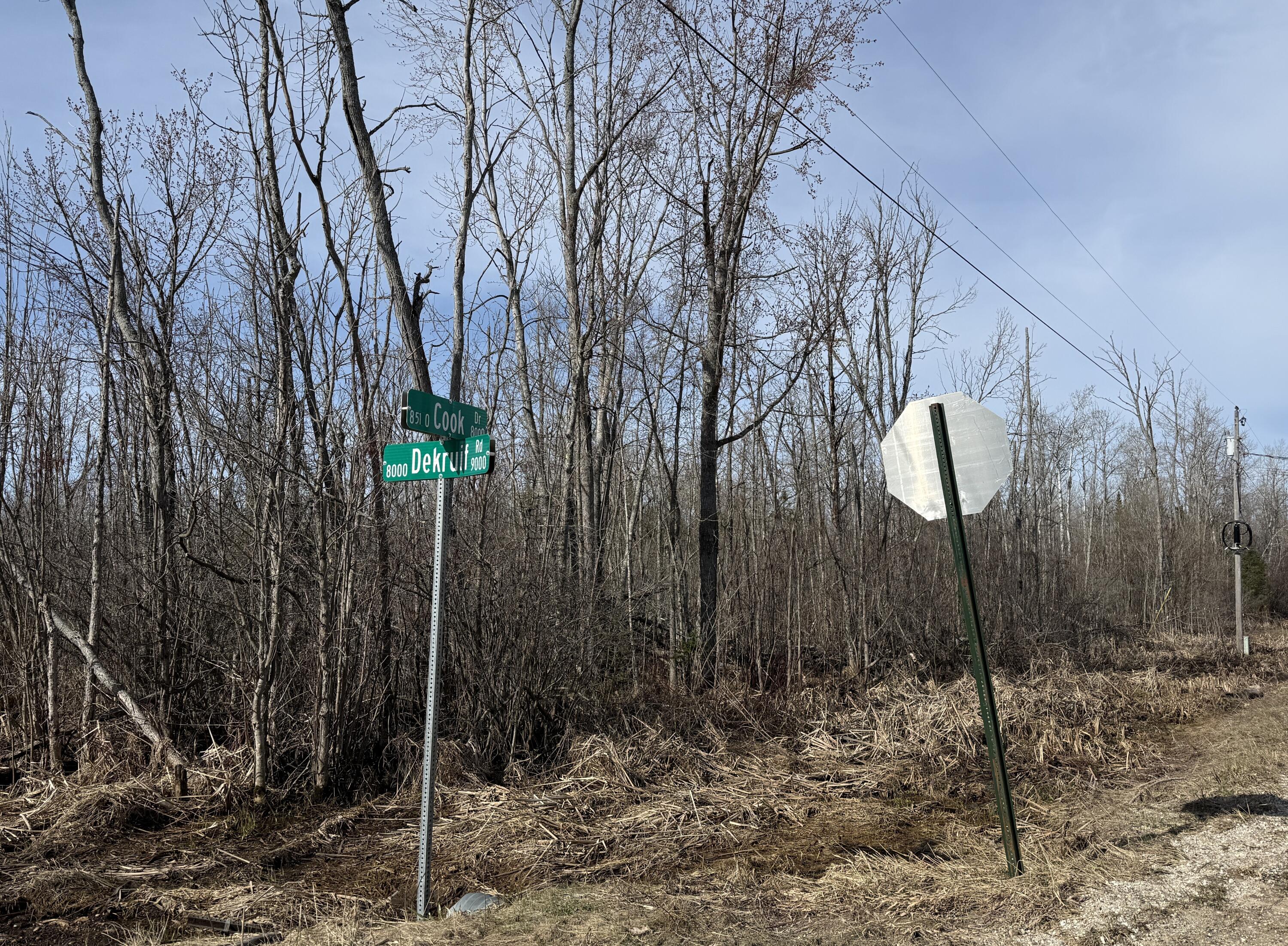 .37 acres Dekruif Road, Section 24