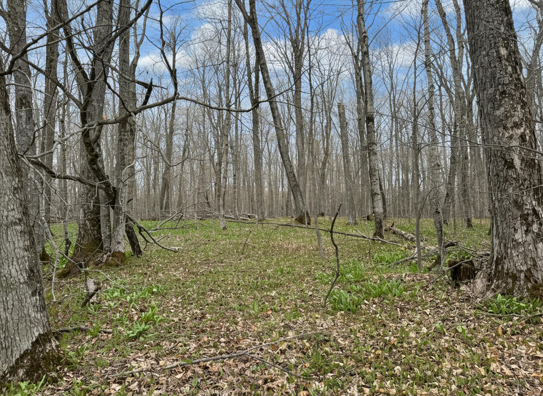 1.7 AC Latocha Road, 1.7 Acre
