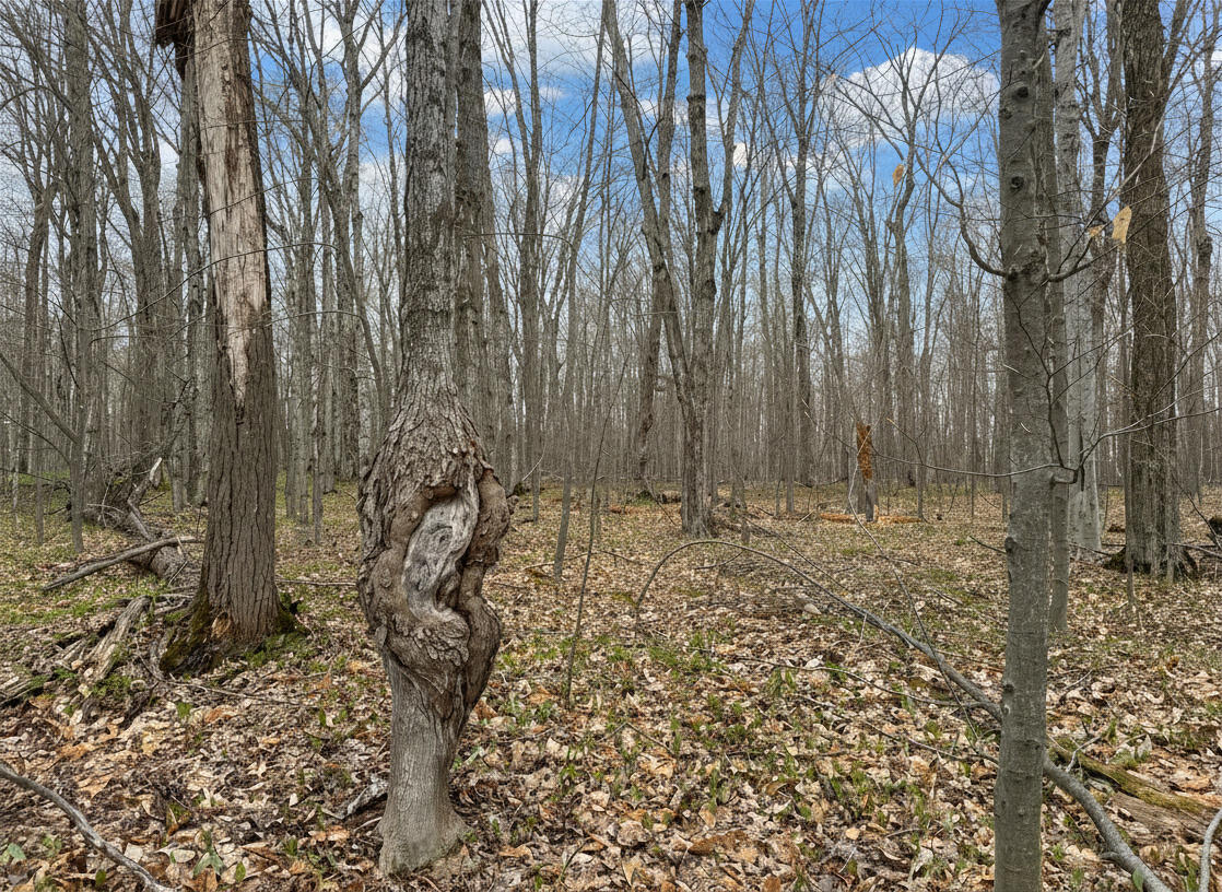 1.7 AC Latocha Road, 1.7 Acre