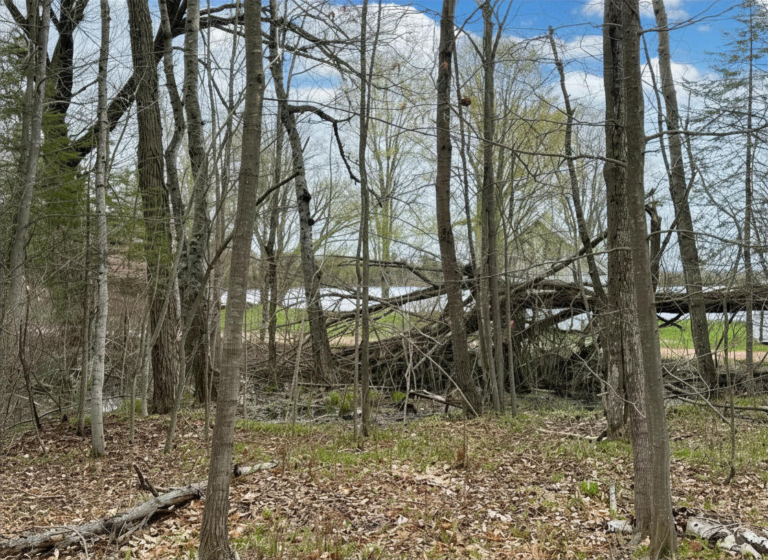 1.7 AC Latocha Road, 1.7 Acre