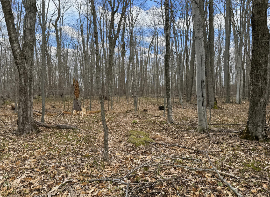 1.7 AC Latocha Road, 1.7 Acre