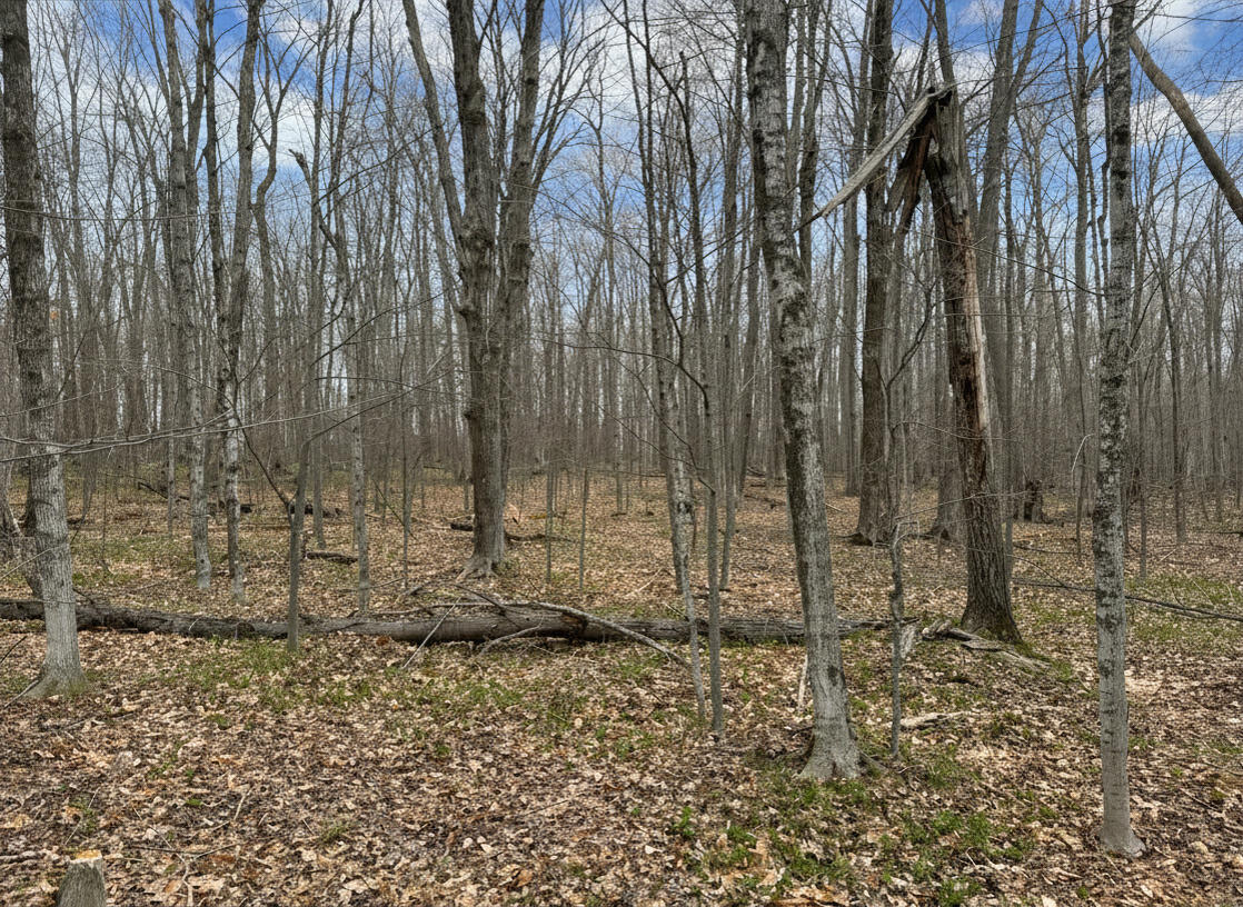 1.7 AC Latocha Road, 1.7 Acre