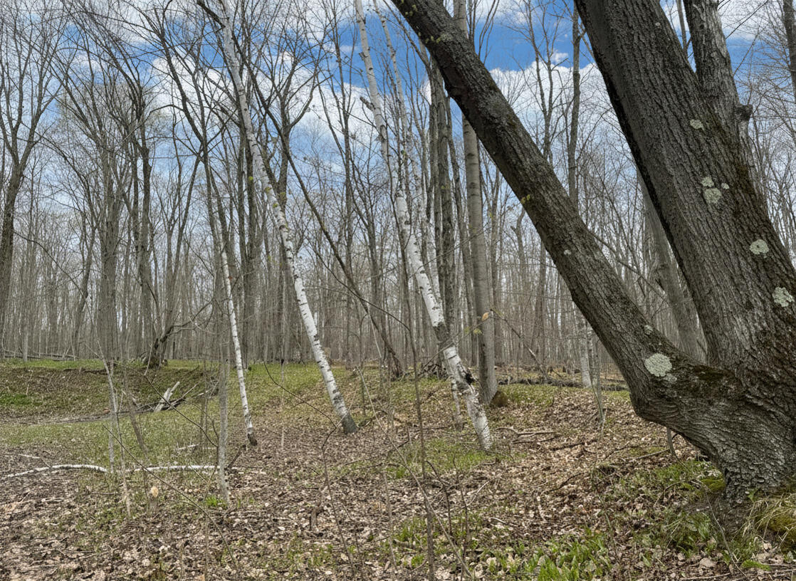 1.7 AC Latocha Road, 1.7 Acre