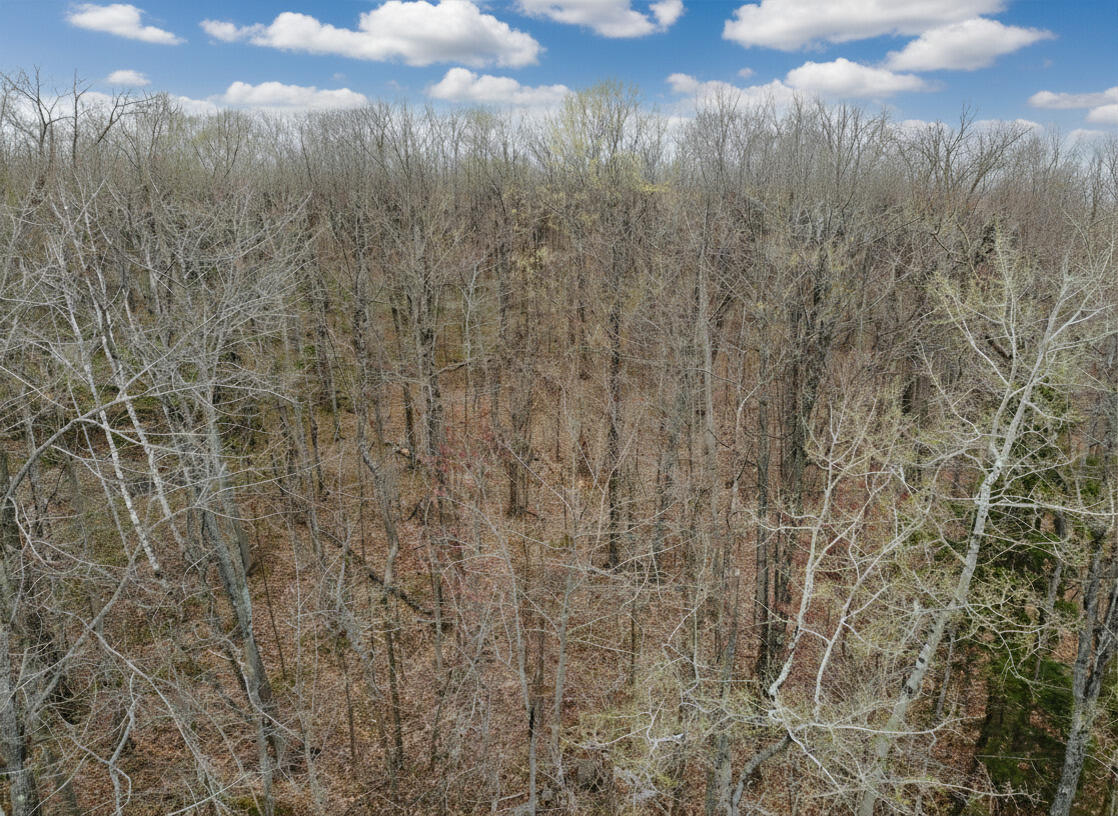 1.7 AC Latocha Road, 1.7 Acre