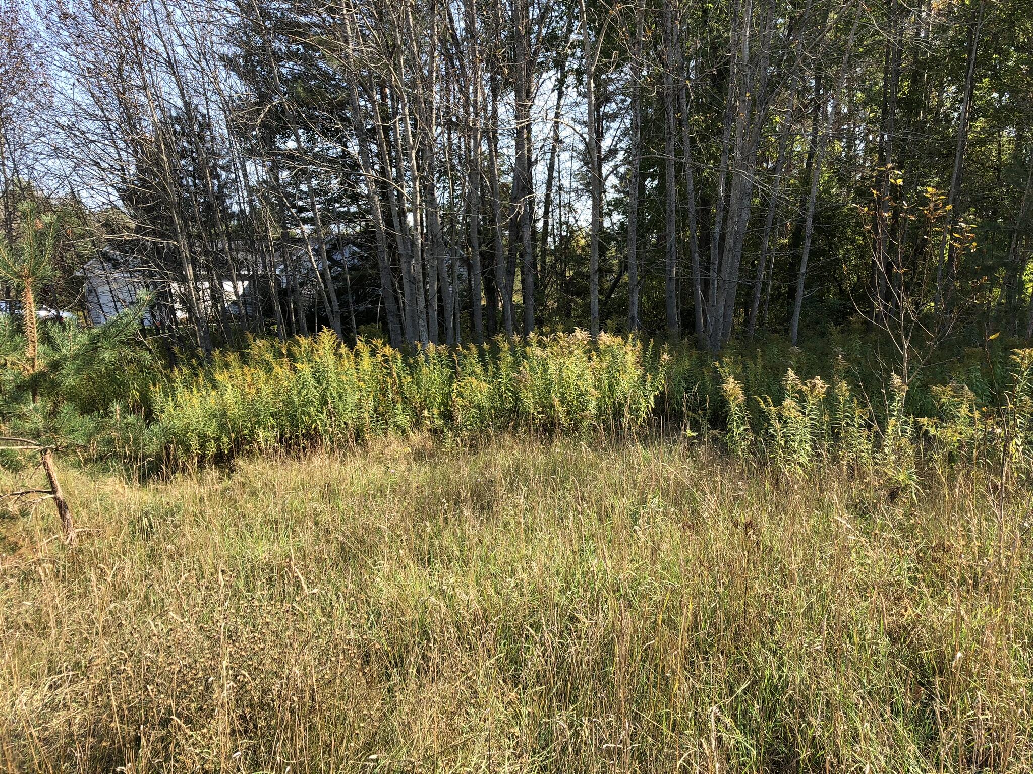 6430 6648 Admirals Point Drive, LOT 9 Slip142