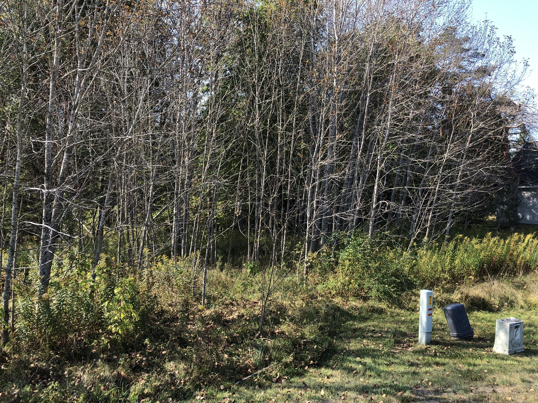 6430 6648 Admirals Point Drive, LOT 9 Slip142