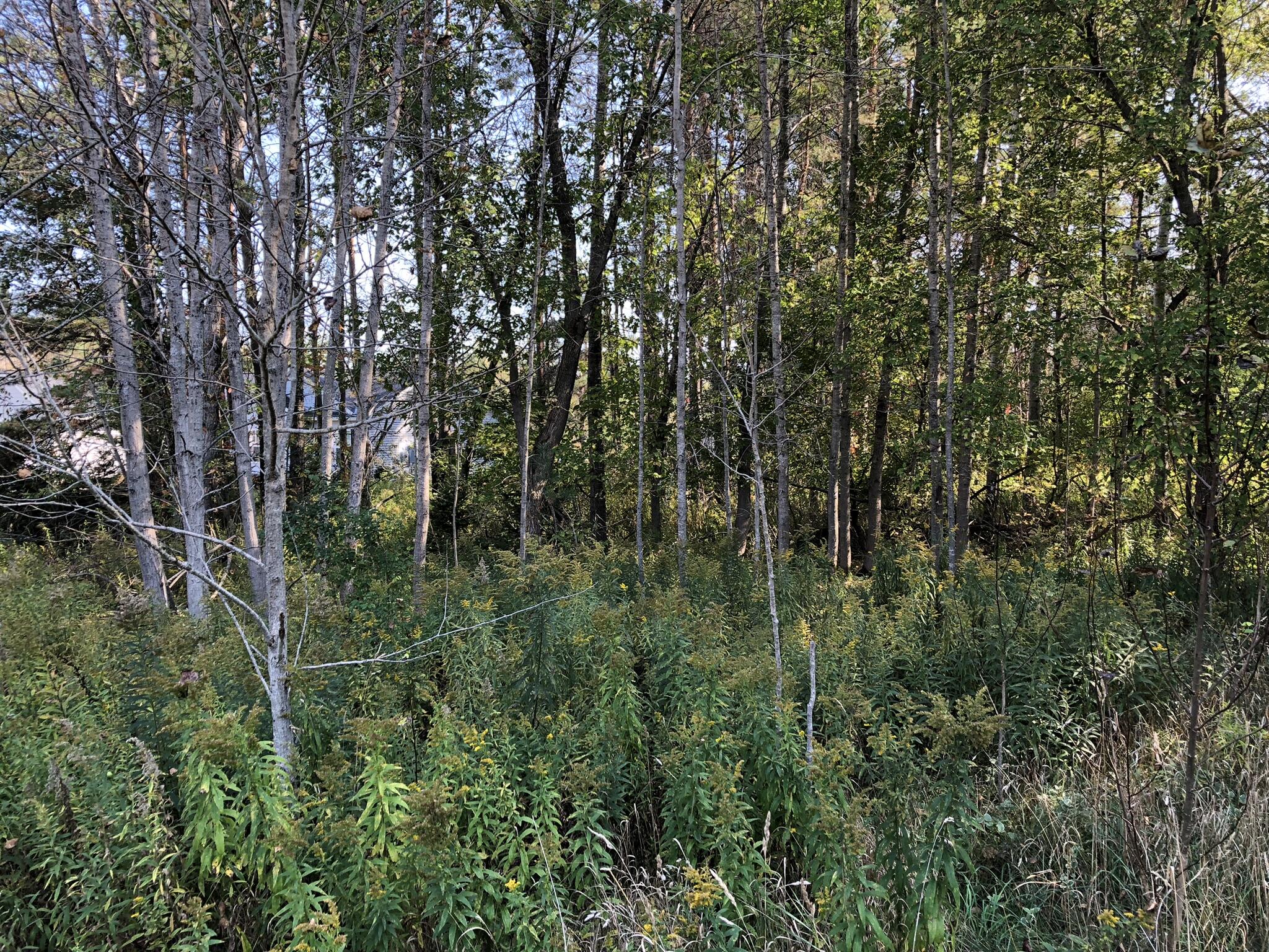6430 6648 Admirals Point Drive, LOT 9 Slip142