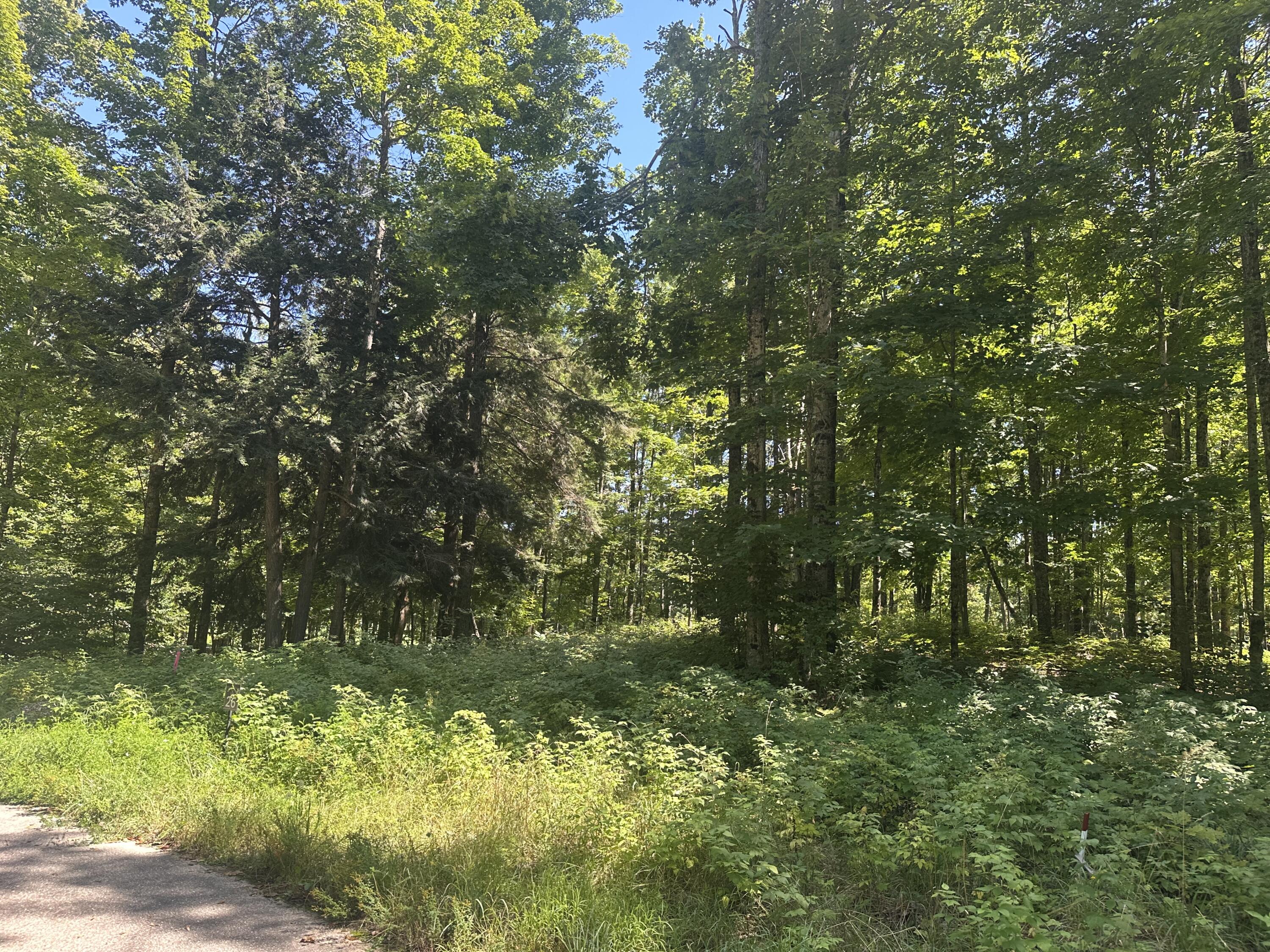 863 Aronimink Drive
