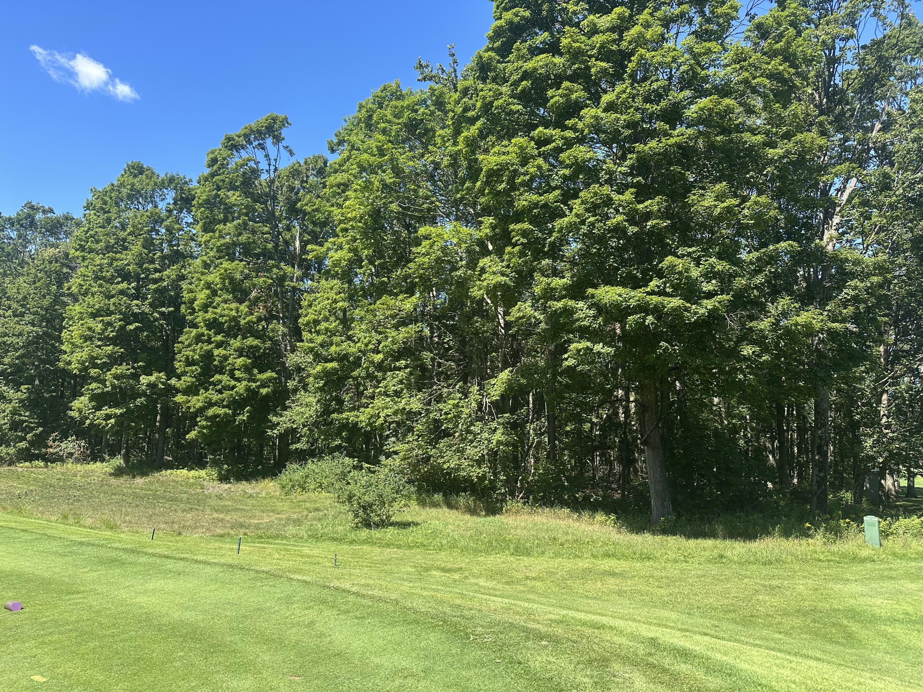 863 Aronimink Drive