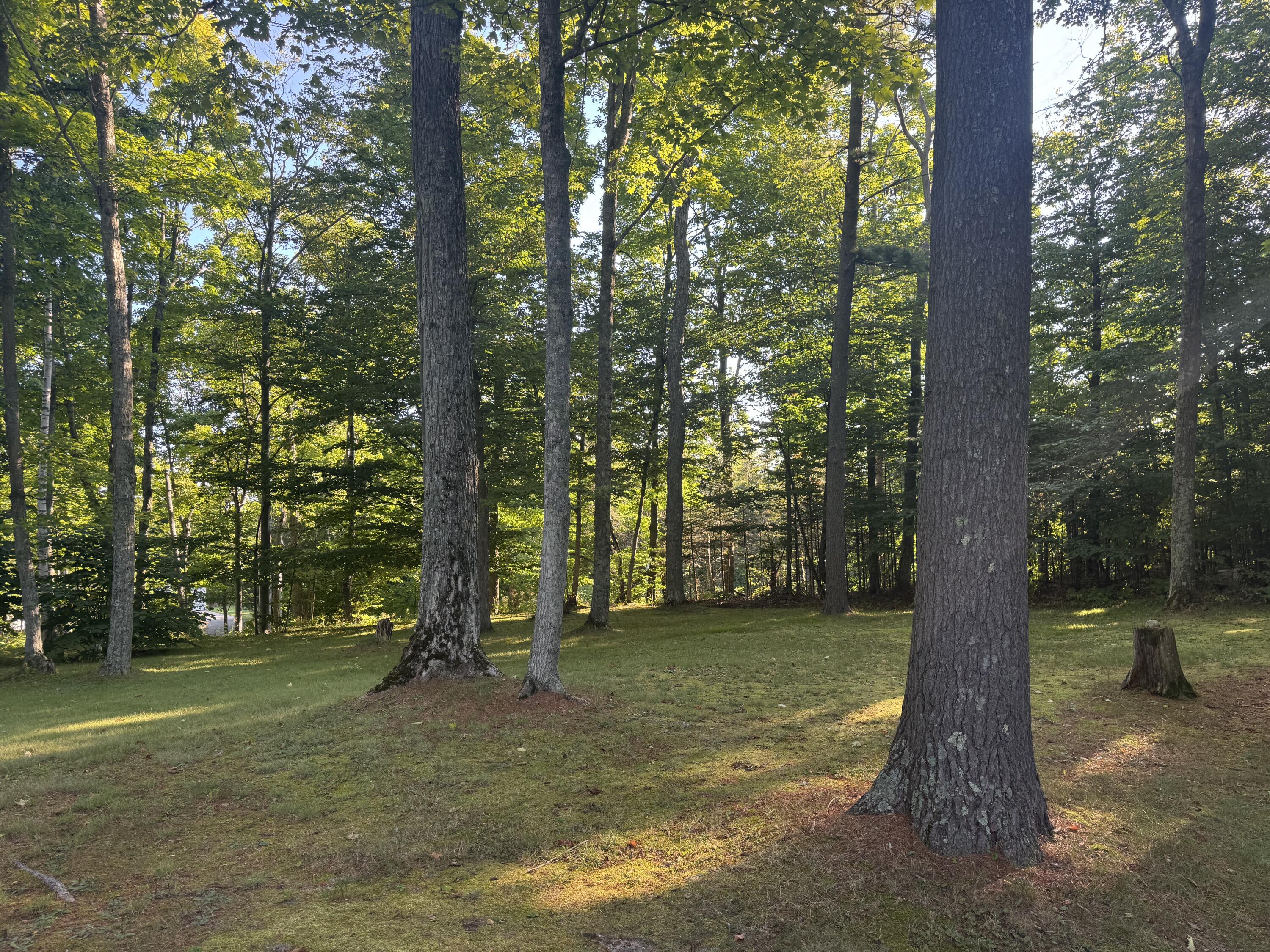 Ridge Road, VL .65 AC