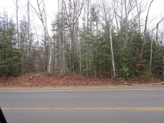 14392 Mackinaw Highway