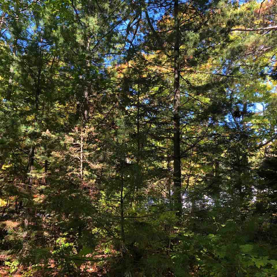 TBD W Etherington Street