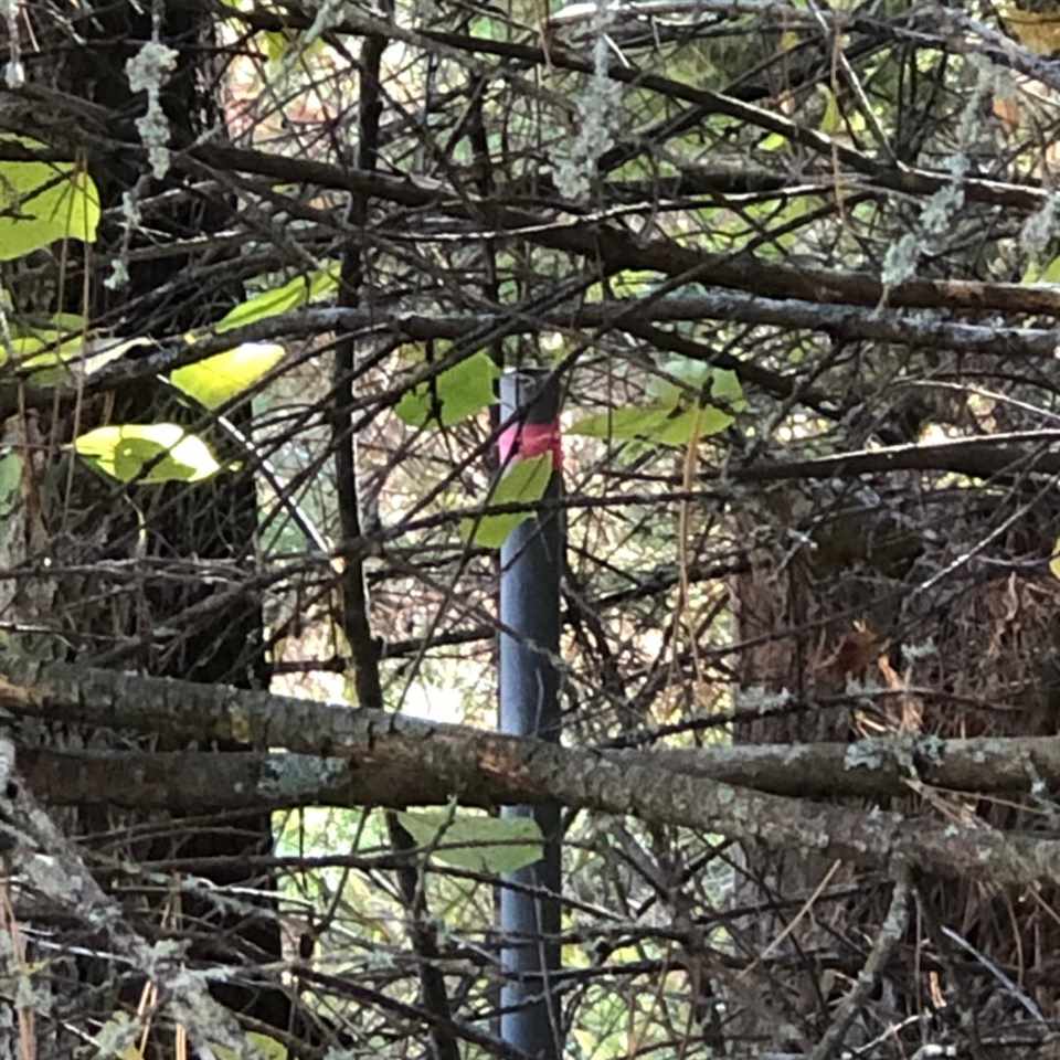 TBD W Etherington Street