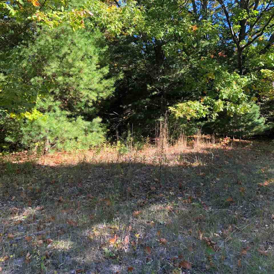 TBD W Etherington Street