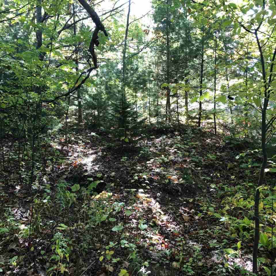 TBD W Etherington Street