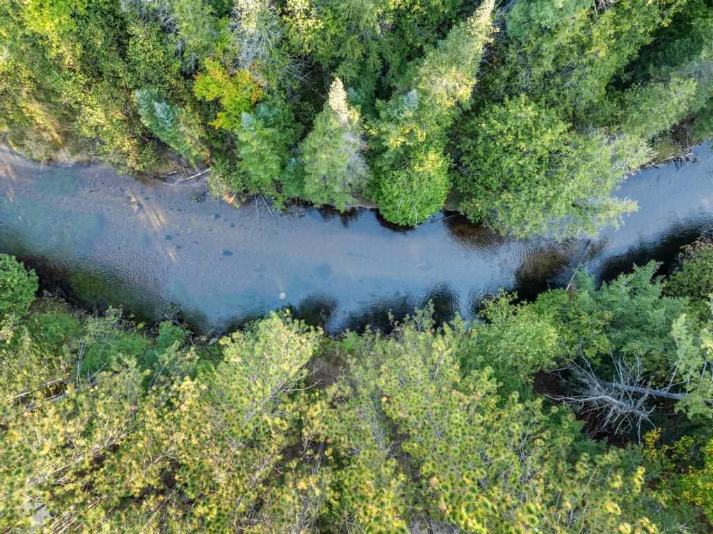 6885 Maple River Lane