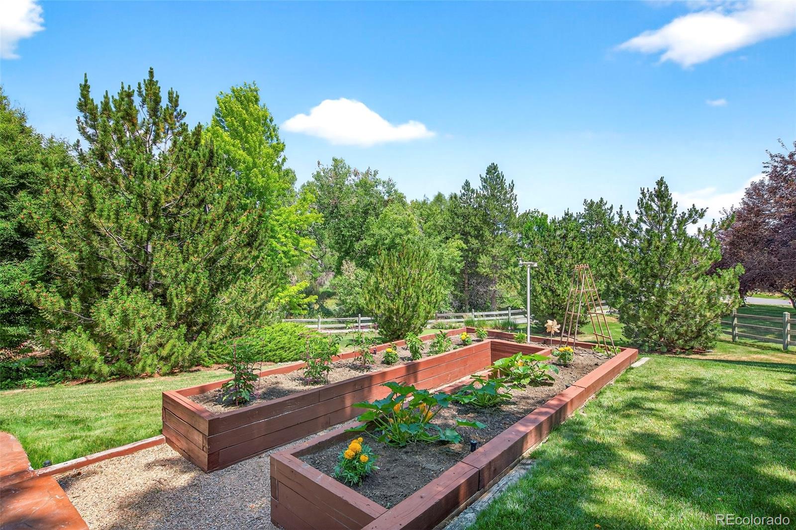 8478 Haystack Court
