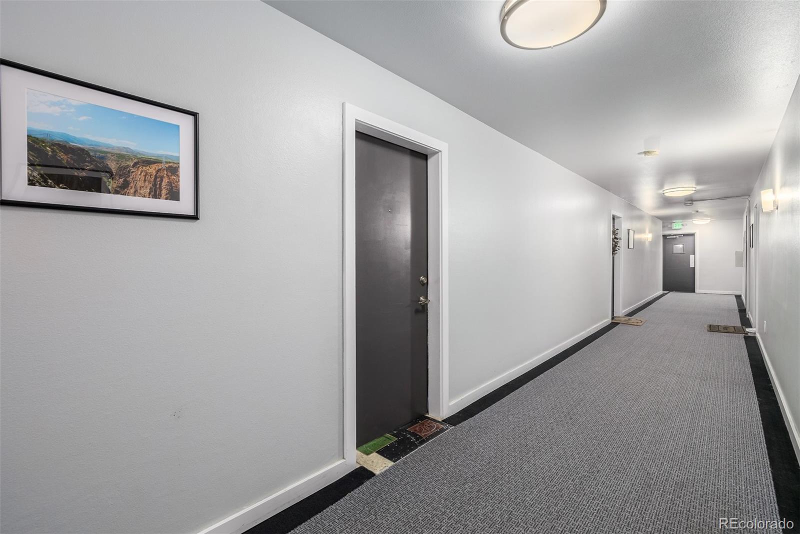 1245 Columbine Street Unit: 205