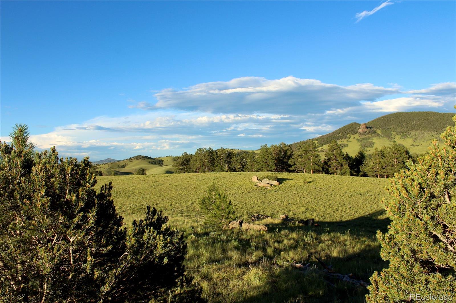 Aspen Meadows Lane