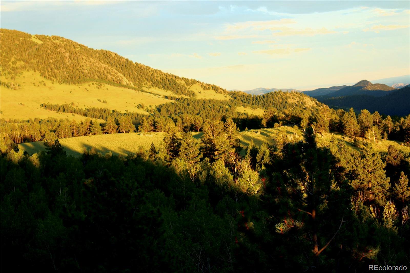 Aspen Meadows Lane