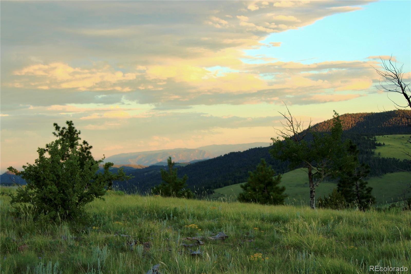 Aspen Meadows Lane