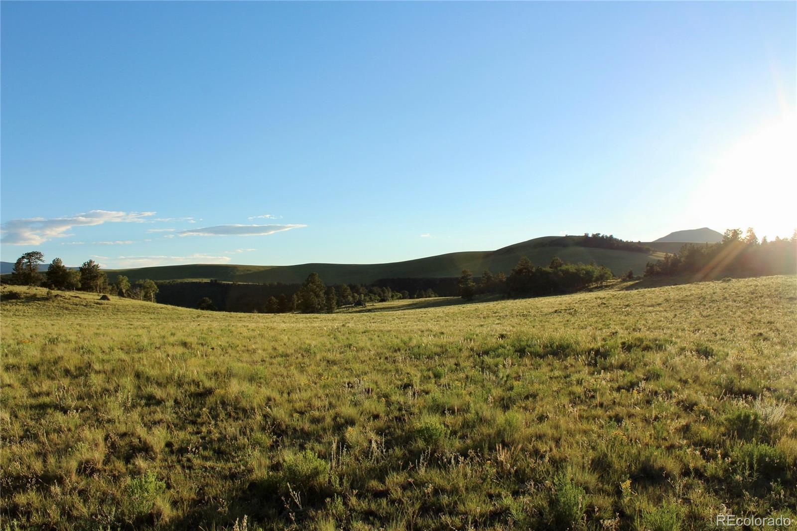 Aspen Meadows Lane