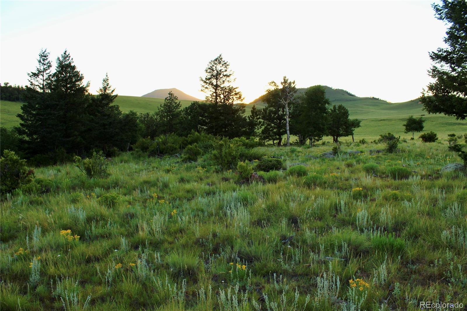 Aspen Meadows Lane