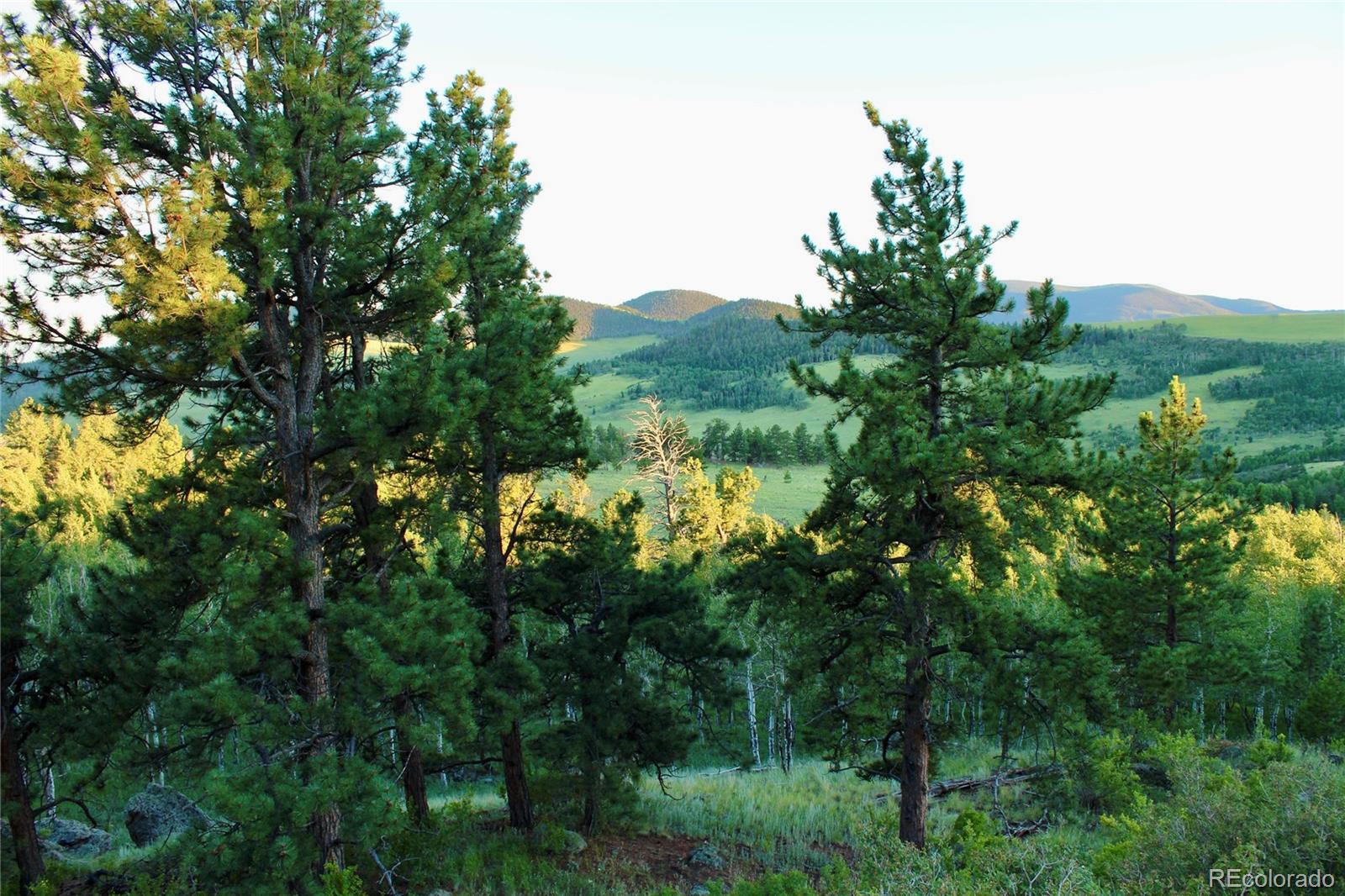 Aspen Meadows Lane
