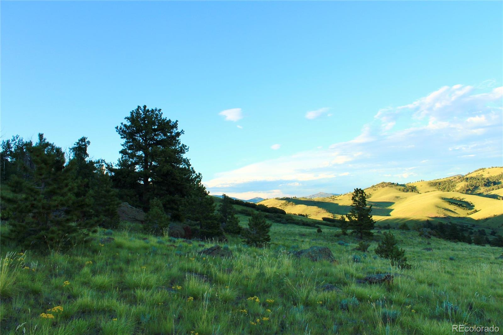 Aspen Meadows Lane