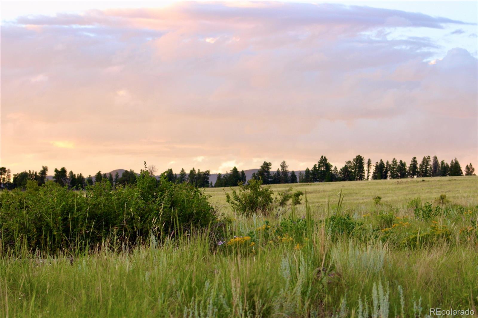 Aspen Meadows Lane