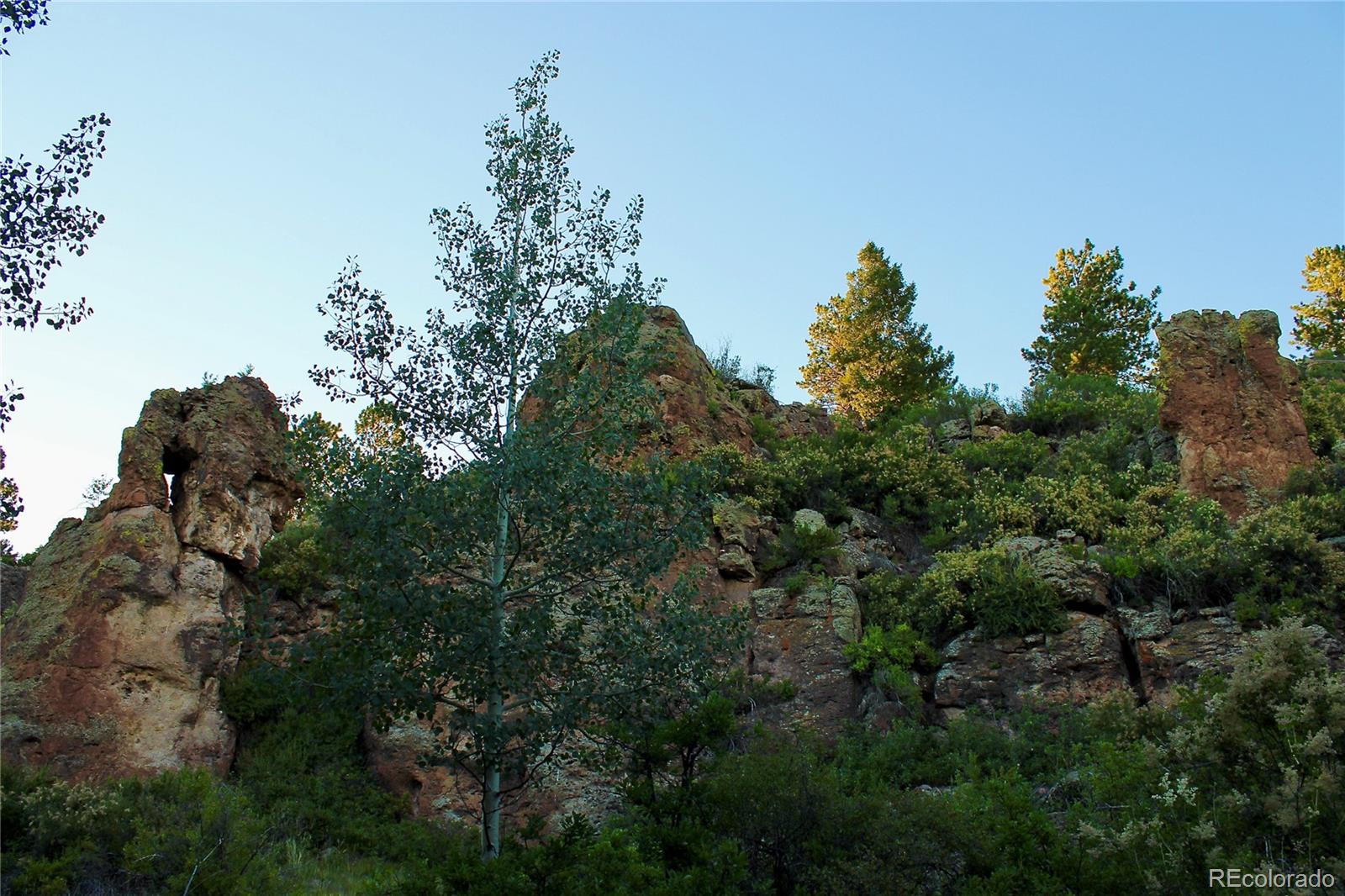 Aspen Meadows Lane
