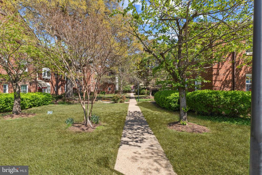 2103 N Taft St #113