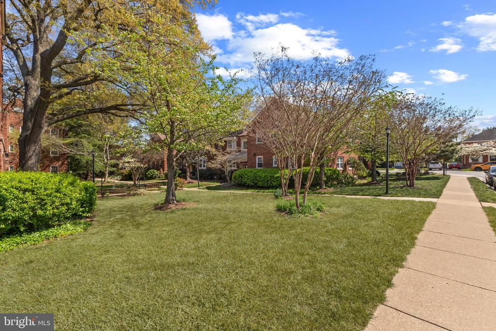 2103 N Taft St #113