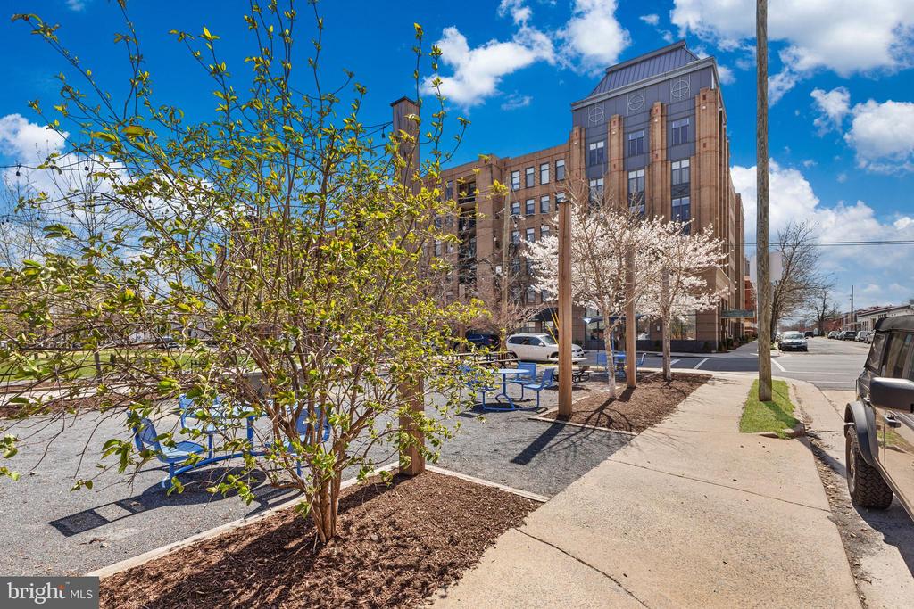 525 N Fayette St #302