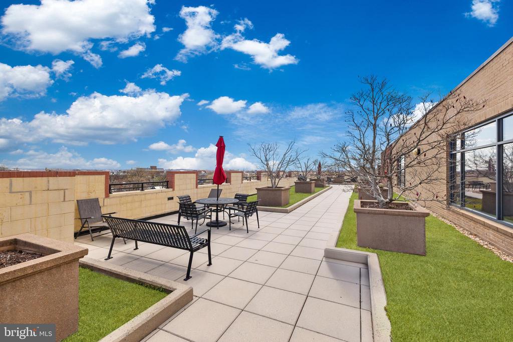 525 N Fayette St #302
