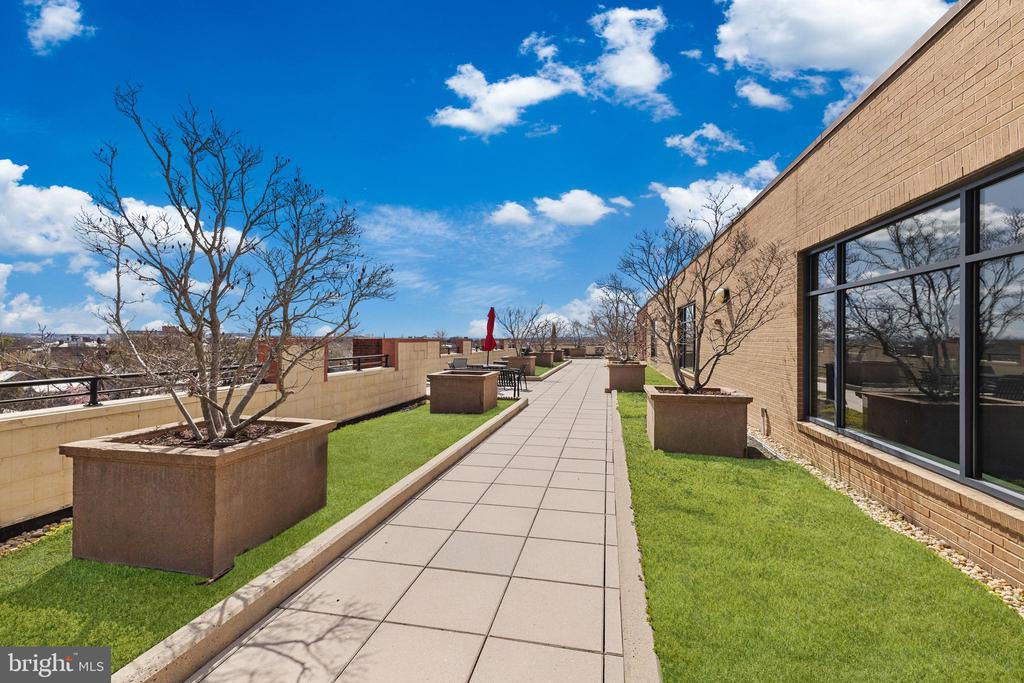 525 N Fayette St #302