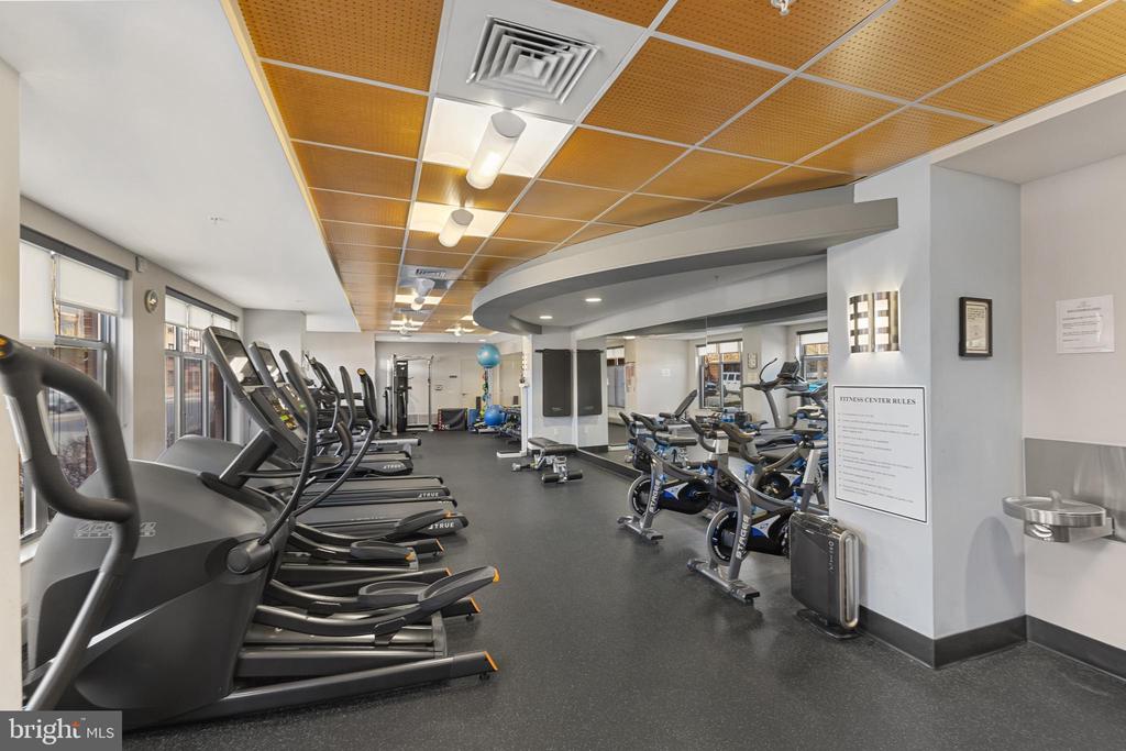 525 N Fayette St #302