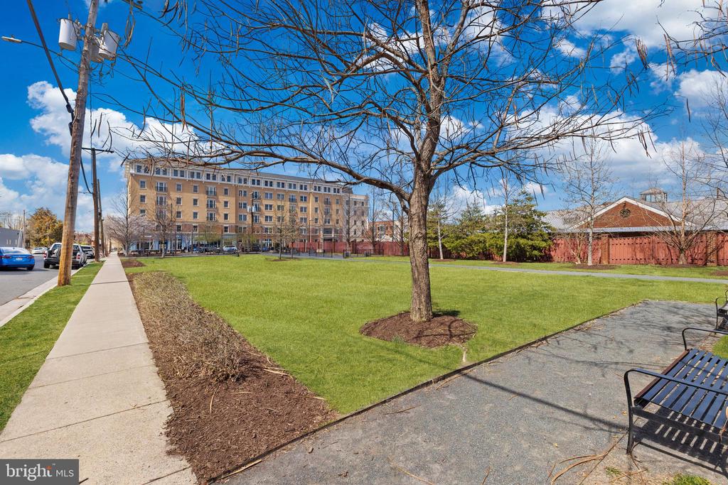 525 N Fayette St #302